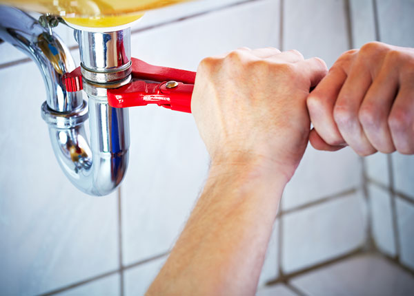 About Dwarf Plumbers